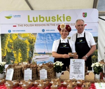 Biały Tulipan Rękodzieło