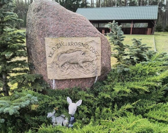 Koło Łowieckie Dzik Krosno Odrzańskie