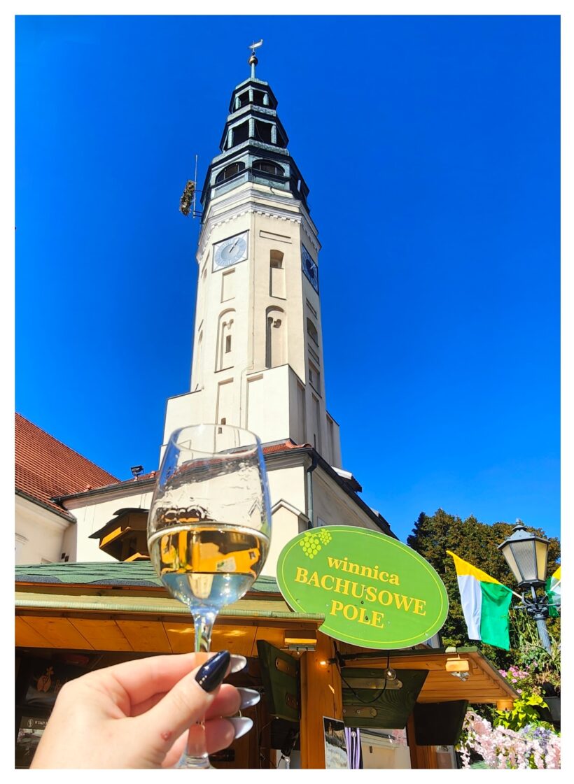 Winnica Bachusowe Pole