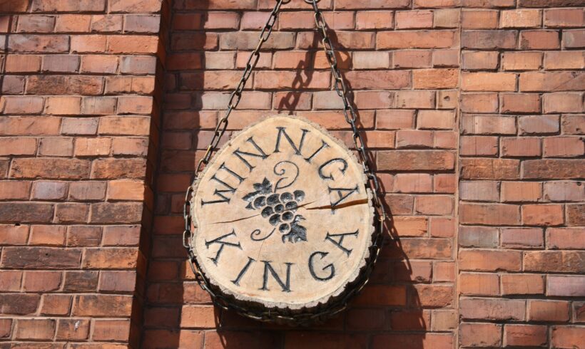 Winnica Kinga