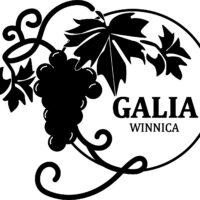 Winnica Galia