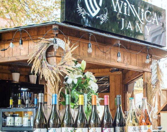 Winnica Jany