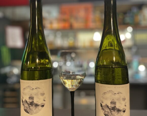 Winnica Vineas Montis